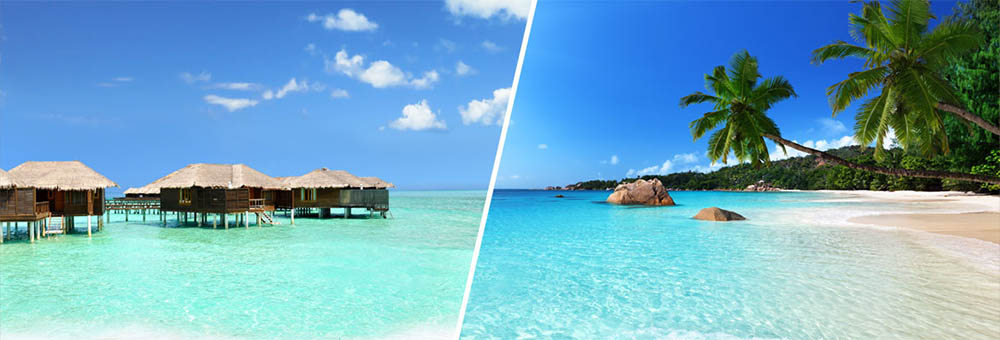 Maldives or Seychelles